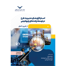 استراتژی های مدیریت طرح درتوسعه پلنت های پتروشیمی